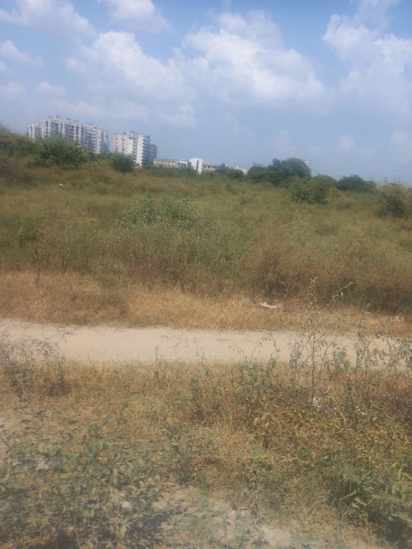 Plot For Sale in Chaksu