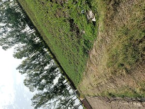  Land For Sale in Nh 1