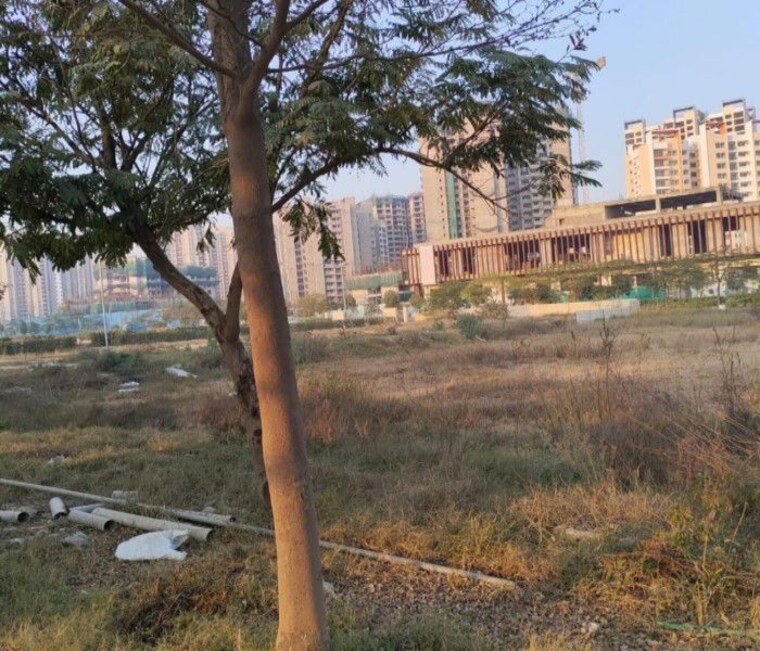undefined, bptp-amstoria-plot  465 Sq.Yd. Plot In Sector 102 Gurgaon 10216613