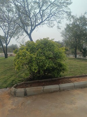 Plot Area in  Plot at Tukkuguda – for Sale