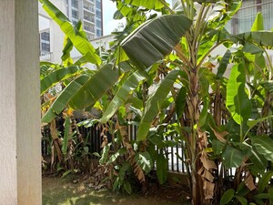 4 BHK Villa – Garden View at Prestige White Meadows, Whitefield - for Sale