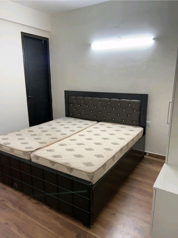 3 BHK + Study Room 1120 Sq.Ft. Builder Floor in Signature Global Park 4 and 5