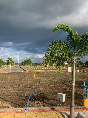 Plot Area in  Plot at Peddapur – for Sale