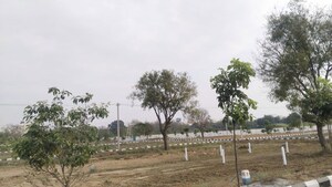 Plot Area in  Plot at Kandukur – for Sale