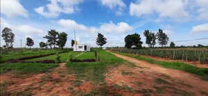 Plot Area in  Plot at Savukanahalli – for Sale