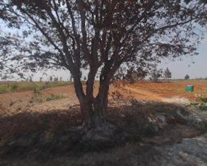 Plot Area in  Plot at Savukanahalli – for Sale