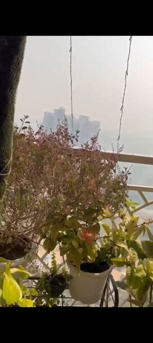 3 BHK Apartment – Garden View at AIPL The Peaceful Homes, Sector 70a - for Sale