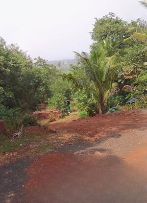  Plot For Sale in Ganpatipule