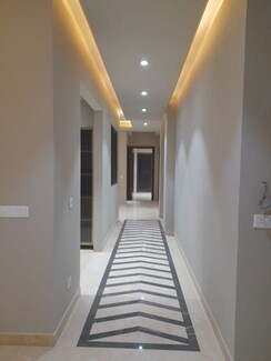 3 BHK Builder Floor For Rent in Saket