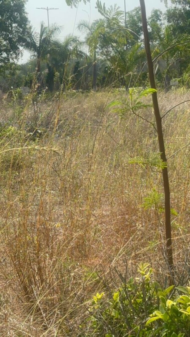 Garden, hayathnagar  200 Sq.Yd. Plot In Hayathnagar Hyderabad 10217882