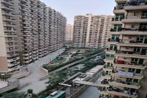 2 BHK Apartment For Rent in Gaur City 2 - 14th Avenue, Sector 16c Greater Noida
