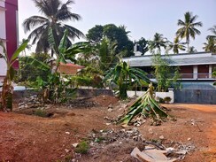 Plot For Sale in Muttada