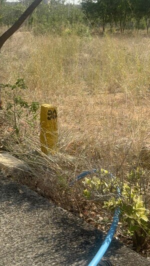 Plot Area in  Plot at Rajendra Nagar – for Sale