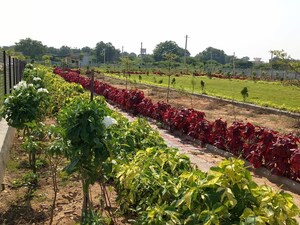  Plot – Garden View at Bhanur - for Sale