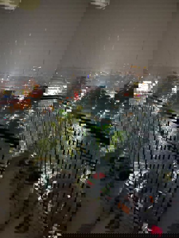 2.5 BHK + Store Room 1272 Sq.Ft. Apartment in Trident Embassy Reso