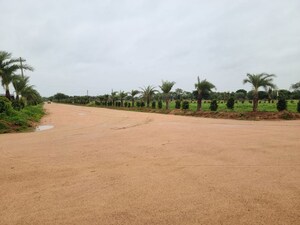  Plot For Sale in Bhanur