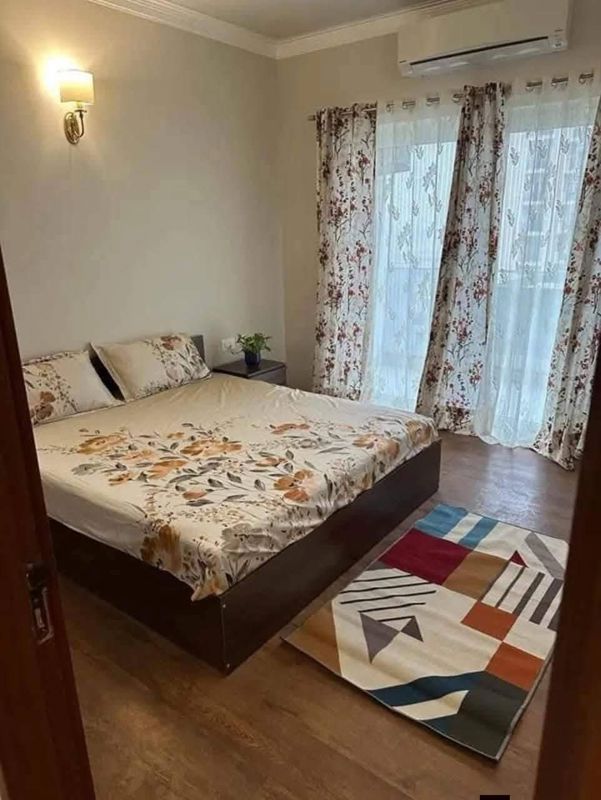 3 BHK Builder Floor For Rent in Saket