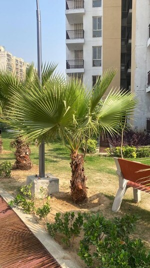 3 BHK Apartment – Exterior View View at Sector 78 - for Sale
