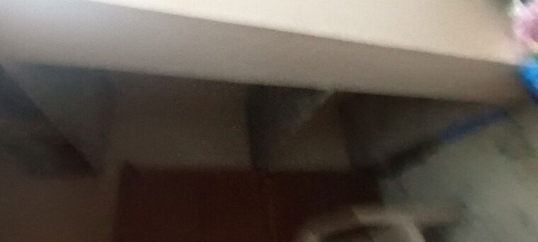 undefined, sector 16 1 Bedroom 850 Sq.Ft. Independent House In Sector 16 Faridabad 10219725