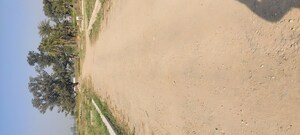 Plot Area in  Plot at Mullanpur – for Sale