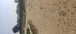 Plot Area in  Plot at Mullanpur – for Sale