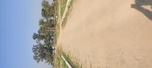 Plot Area in  Plot at Mullanpur – for Sale