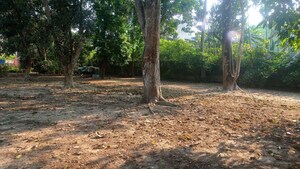 Plot Area in  Plot at Kumarpara – for Sale