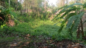  Plot – Garden View at Kumarpara - for Sale