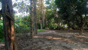 Plot Area in  Plot at Kumarpara – for Sale