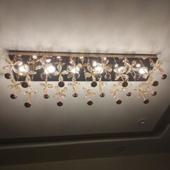 1 BHK + Pooja Room Apartment For Rent in Ace Enclave