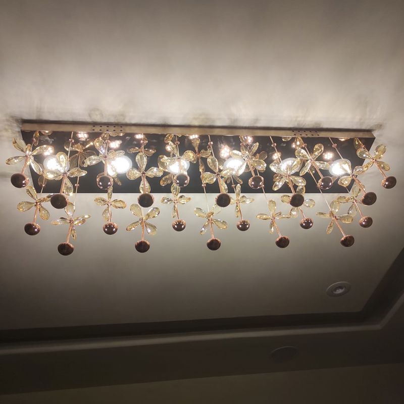 1 BHK + Pooja Room Apartment For Rent in Ace Enclave