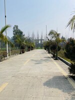 174 Sq.Yd. Plot in Biharigarh