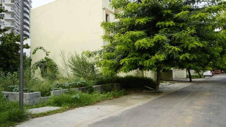 Garden, omaxe-new-chandigarh  283 Sq.Yd. Plot In North Mullanpur Chandigarh 10220754