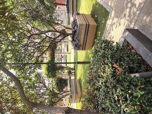 2 BHK Apartment For Rent in My Home Avatar, Gachibowli