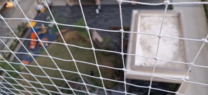 Balcony in 3 BHK Apartment at Raysan – for Rent