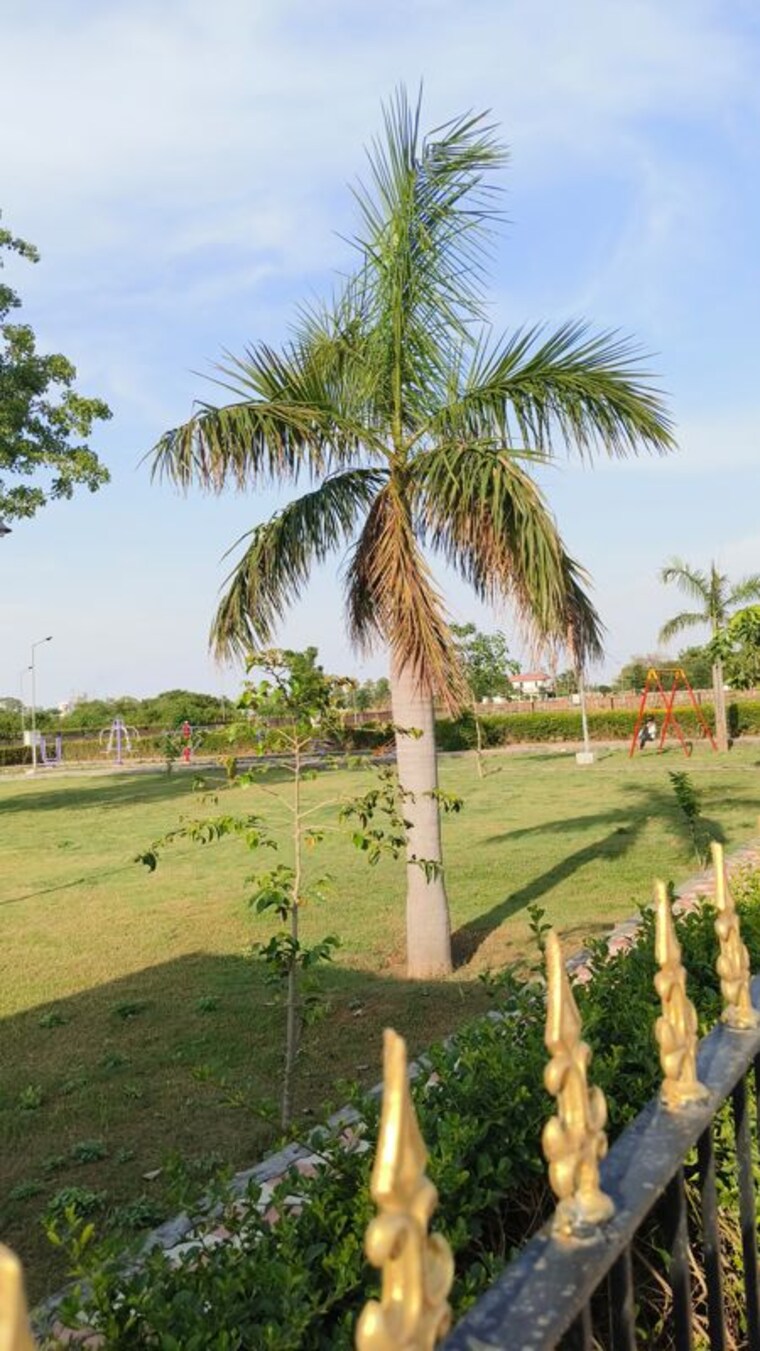 Garden, swatantra-indraprastha-greens  157 Sq.Yd. Plot In Sector 97 Faridabad 10220892