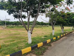 Plot For Sale in Sector 1 Wave City