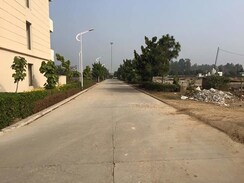 Plot For Sale in Omaxe New Chandigarh