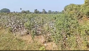 Plot Area in  Plot at Moosapet – for Sale