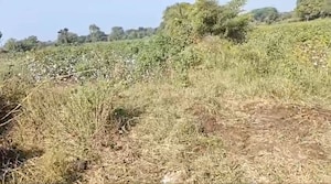 Plot Area in  Plot at Moosapet – for Sale