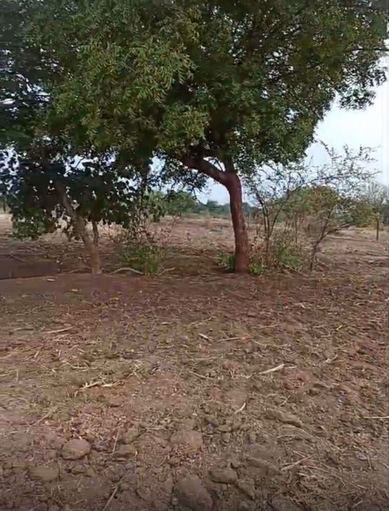 undefined, moosapet  5 Acre Plot In Moosapet Hyderabad 10194821