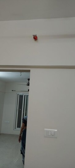 2 BHK Apartment For Rent in Dosti West County Phase 4 Dosti Pine