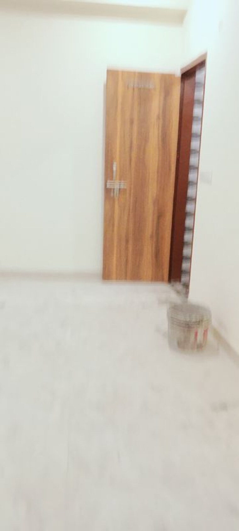 Room, basera-apartments-sector-49 2 Bedroom 850 Sq.Ft. Builder Floor In Sector 49 Noida 10221798