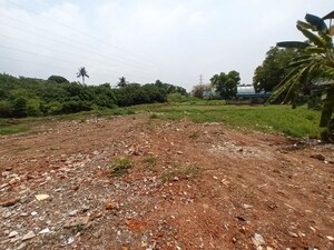 Plot Area in  Land at Elamakkara – for Rent