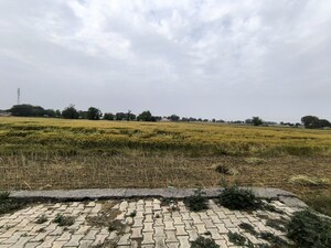 Plot Area in  Land at Pataudi – for Sale