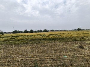 Plot Area in  Land at Pataudi – for Sale