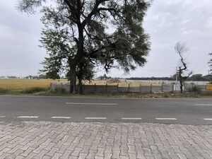 Plot Area in  Land at Pataudi – for Sale