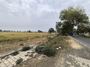 Plot Area in  Land at Pataudi – for Sale