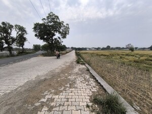 Plot Area in  Land at Pataudi – for Sale