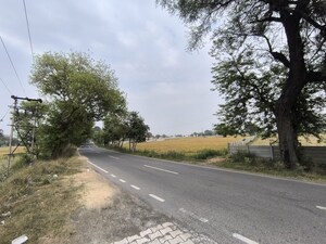 Plot Area in  Land at Pataudi – for Sale